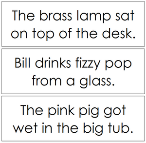 Step 2: Sentence Cards Set 2 - Montessori language cards