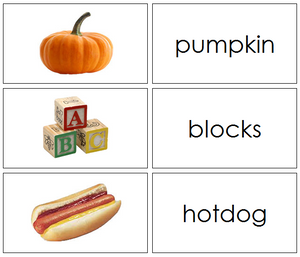 Step 2: Phonetic Word & Picture Cards - Montessori language cards