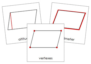 Study of a Parallelogram Cards - Montessori Print Shop geometry cards