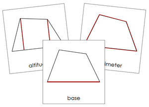 Study of a Quadrilateral Cards - Montessori Print Shop geometry cards