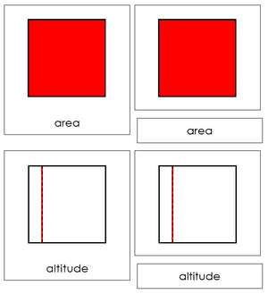Study of a Square 3-Part Cards - Montessori Print Shop geometry cards