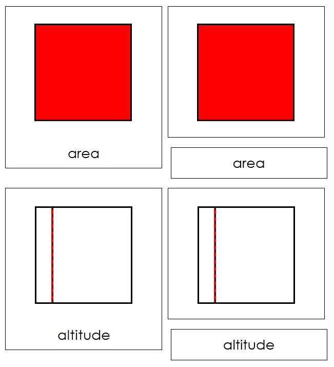 Study of a Square Cards - Montessori Print Shop geometry cards