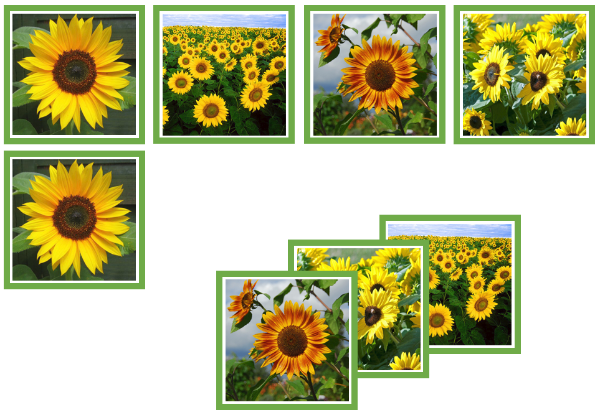 sunflower matching cards - Montessori Print Shop