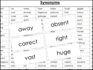 Synonyms Matching Cards & Control Chart - Montessori Print Shop Grammar Lesson