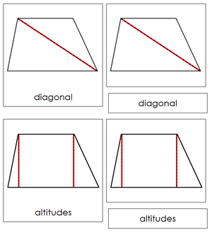 Study of a Trapezoid 3-Part Cards - Montessori Print Shop geometry cards