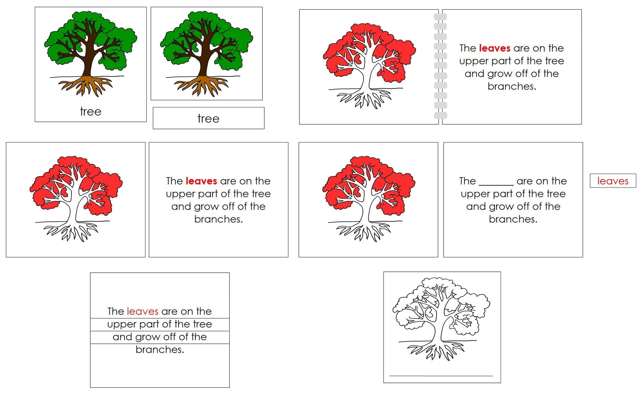 Tree Def Tree Definition And Uses at James Madrigal blog