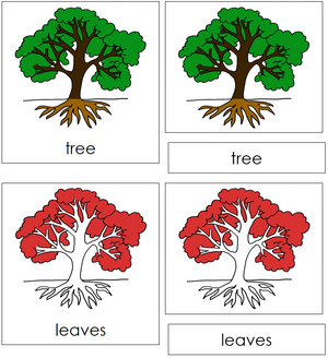 Tree Nomenclature Cards (red) - Montessori Print Shop