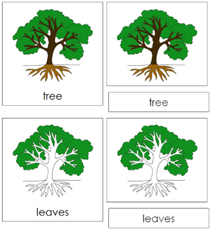 Tree Nomenclature 3-Part Cards - Montessori Print Shop