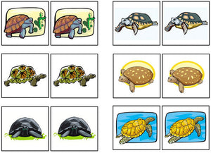 Turtle Match-Up & Memory - Montessori Print Shop