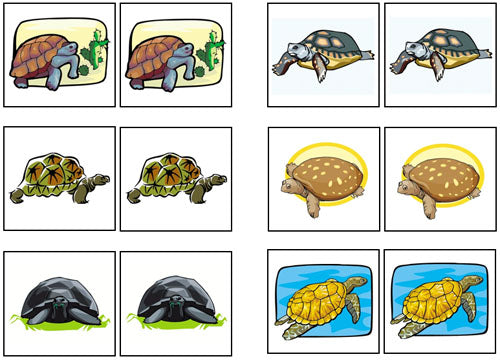 Turtle Match-Up & Memory Game - Montessori Print Shop