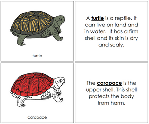 Turtle Nomenclature Book (red) - Montessori Print Shop
