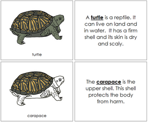 Turtle Nomenclature Book - Montessori Print Shop