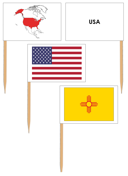 August Pin Flags United States Flags (Pin Flags) - Montessori Print Shop
