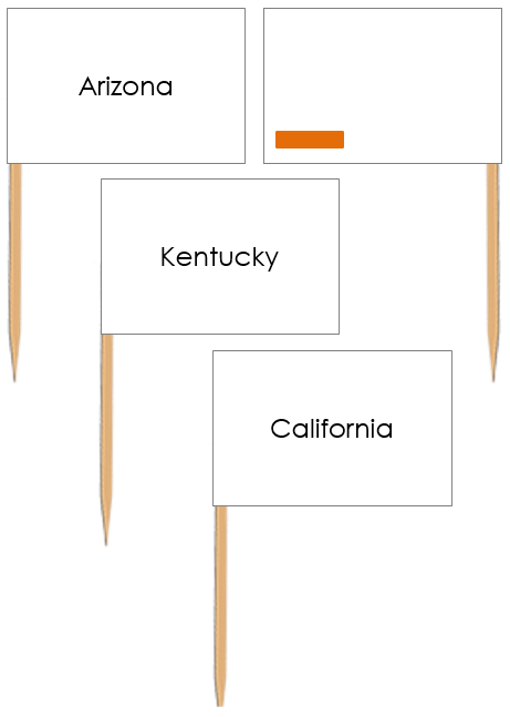 United States Map Labels: Pin Flags - Montessori Print Shop geography materials