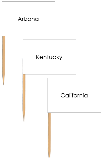 United States Map Labels: Pin Flags - Montessori Print Shop geography materials