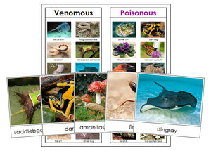 Venomous or Poisonous Animals & Plants - Montessori Print Shop science printable