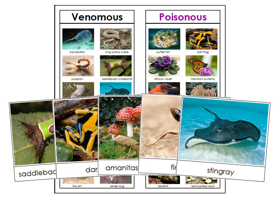 Venomous or Poisonous Animals & Plants - Montessori Print Shop science printable