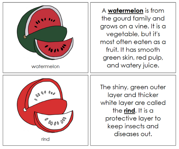 Parts of a Watermelon Nomenclature Book (red) - Montessori Digital ...