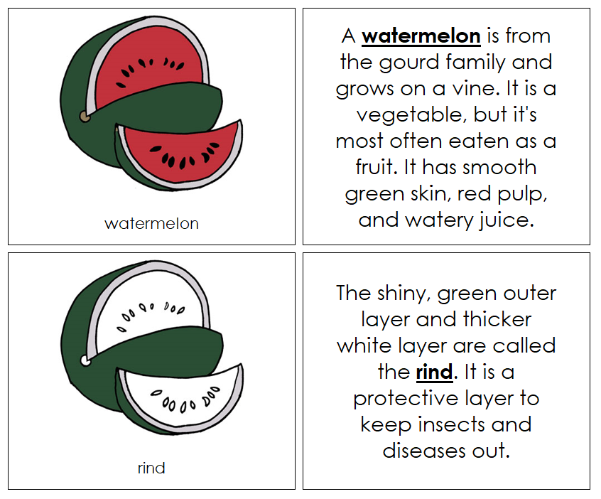 Parts of a Watermelon Nomenclature Book by Montessori Print Shop
