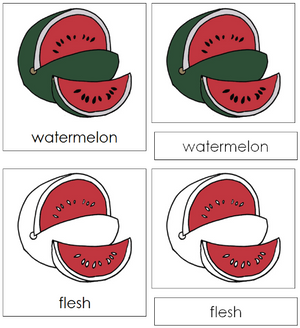 Watermelon Nomenclature 3-Part Cards - Montessori Print Shop