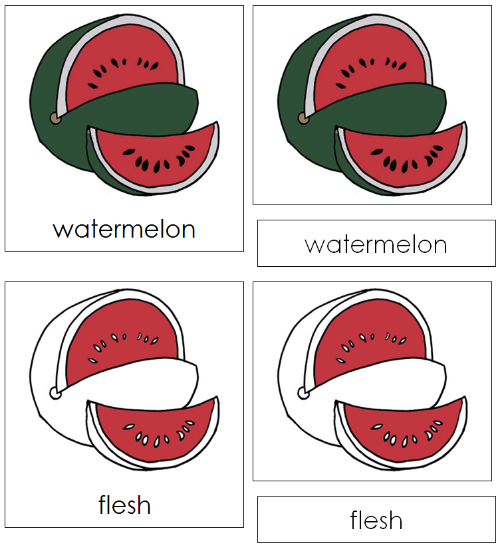 Watermelon Nomenclature Cards - Montessori Print Shop