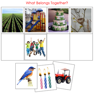 What Belongs Together? - Montessori Print shop