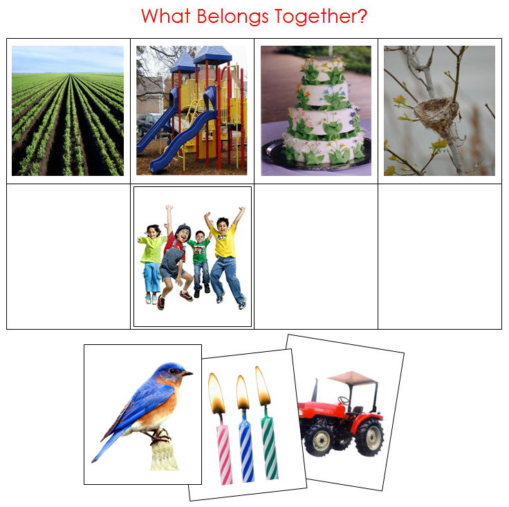 What Belongs Together? - Montessori Print shop