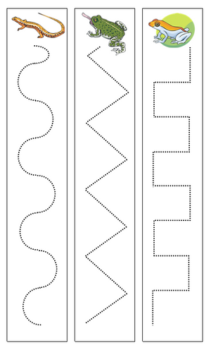 Amphibian Cutting Strips - Montessori cutting lesson