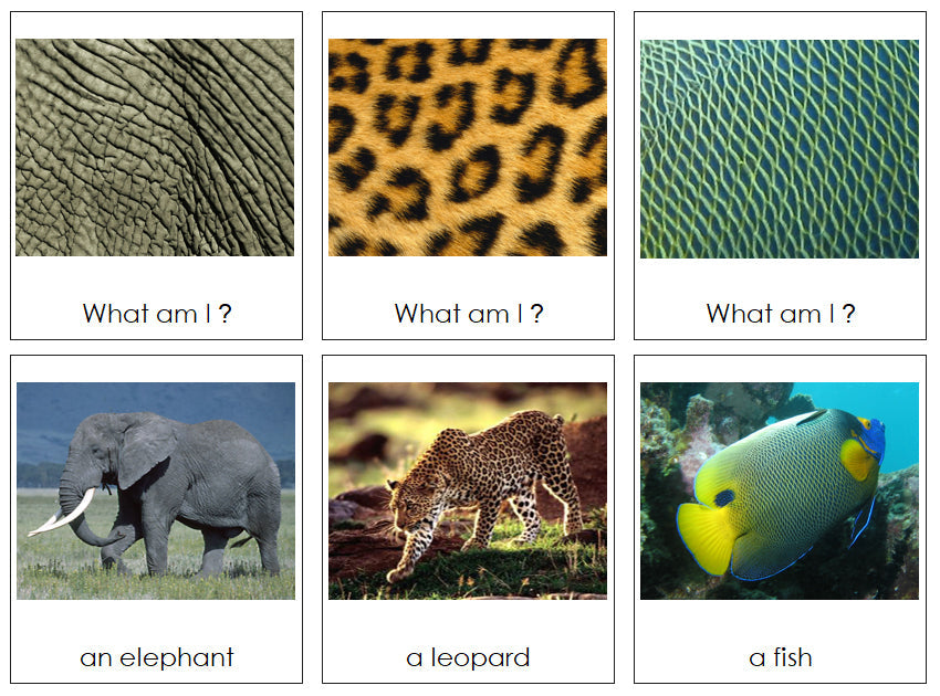 animal-skin-matching-cards-montessori-print-shop