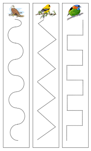 Bird Cutting Strips - preschool cutting practice