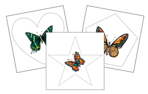 Butterfly Cutting Work - preschool cutting practice