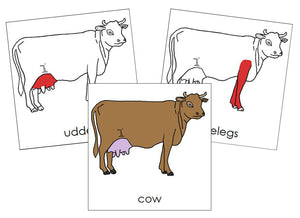 Cow Nomenclature Cards (red) - Montessori Print Shop