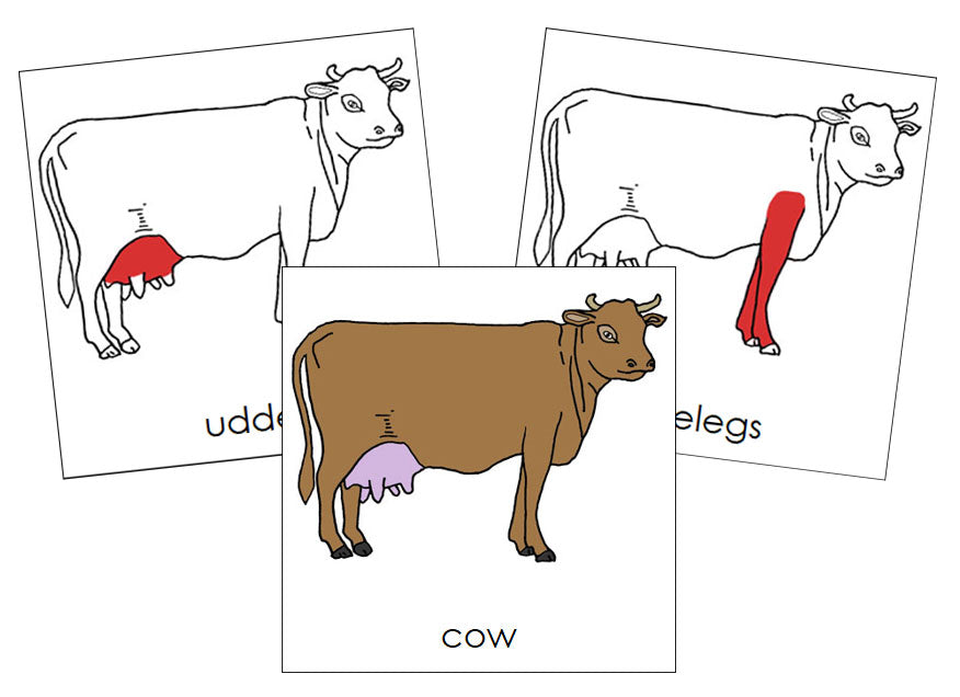 Cow Nomenclature Cards (red) - Montessori Print Shop