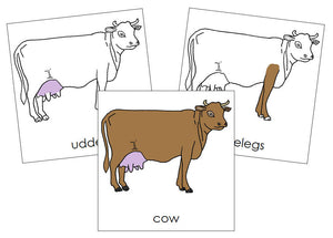 Cow Nomenclature Cards - Montessori Print Shop