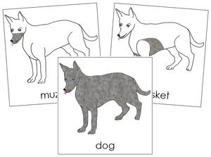 Dog Nomenclature Cards - Montessori Print Shop
