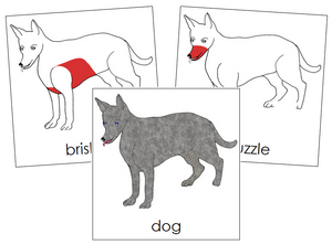 Dog Nomenclature Cards (red) - Montessori Print Shop