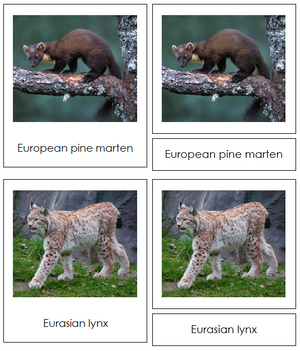European Animals - Montessori Print Shop continent study