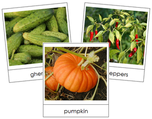 Fruit Vegetable Picture Cards Set 2 - Montessori Print Shop