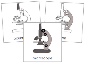 Microscope Nomenclature Cards - Montessori Print Shop