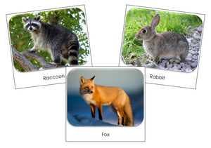 Nature Safari Toob Cards - Montessori Print Shop