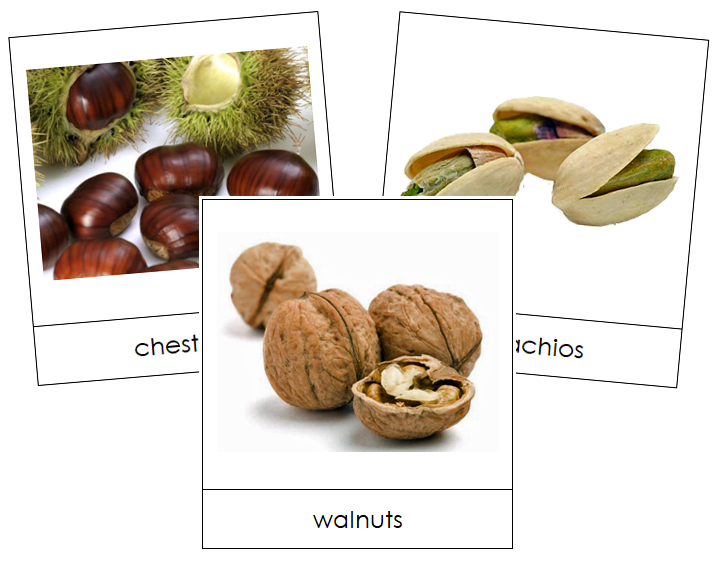 Nut Picture Cards - Montessori Print Shop