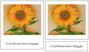 Georgia O'Keeffe Art Cards - montessori art materials