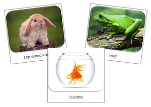 Pets Safari Toob Cards - Montessori Print Shop
