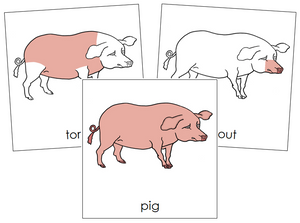 Pig Nomenclature Cards - Montessori Print Shop