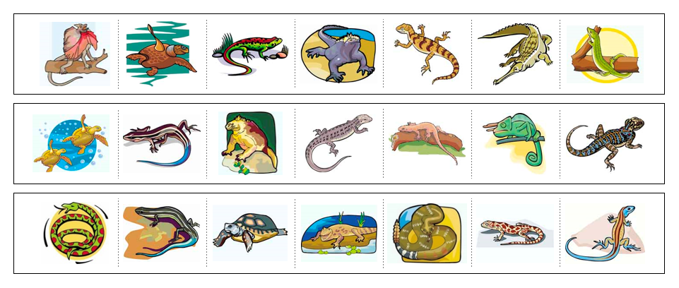 reptiles-cutting-work-montessori-print-shop for Free Printable Pictures Of Reptiles Reptiles Cutting Work - Montessori Print Shop for Free Printable Pictures Of Reptiles