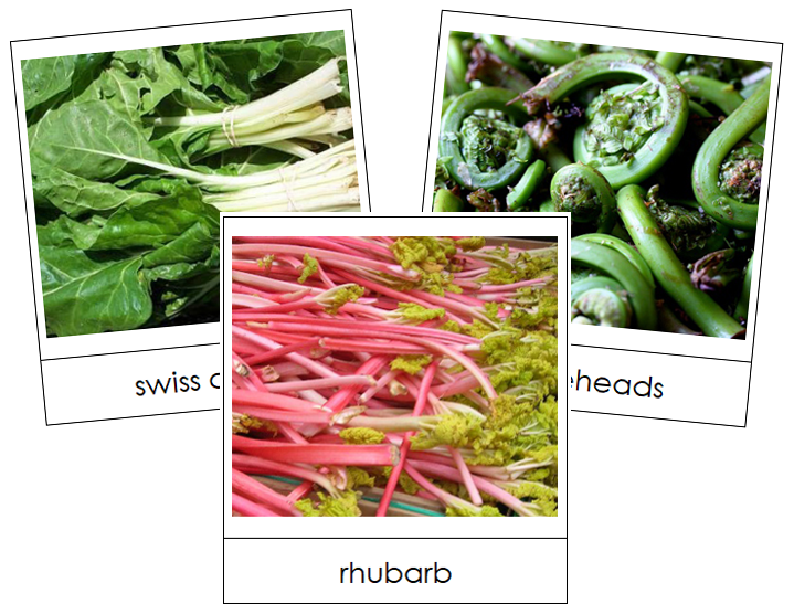 Stalk Vegetable Picture Cards - Montessori Print Shop