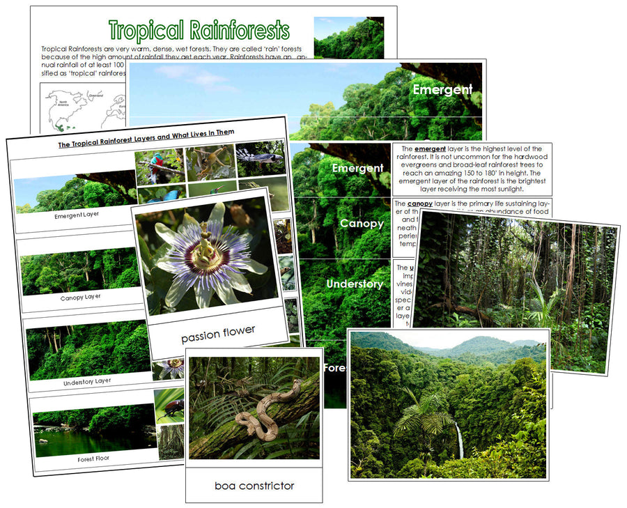 Tropical Rainforest Charts & Cards - Montessori Print Shop