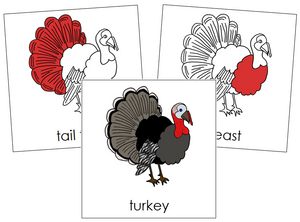 Turkey Nomenclature Cards (red) - Montessori Print Shop