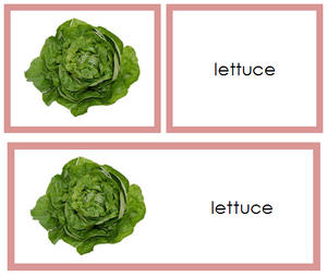 Vegetable Words & Picture Cards - Montessori Print Shop