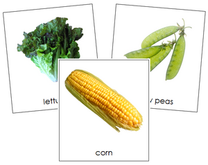 Vegetable 3-Part Cards - Montessori Print Shop